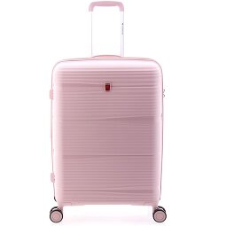 Gladiator 0800 4 ruote Carrello 65 cm con piega di espansione  Variante 4