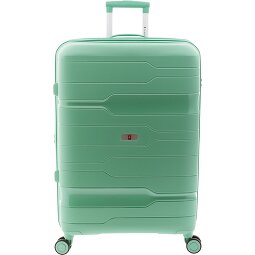 Gladiator 3800 4 ruote Carrello 77 cm con piega di espansione  Variante 8