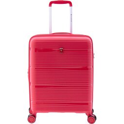 Gladiator 0800 4 ruote Carrello 55 cm con piega di espansione  Variante 7