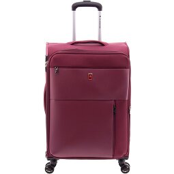 Gladiator 3700 4 ruote Carrello 66 cm con piega di espansione  Variante 4