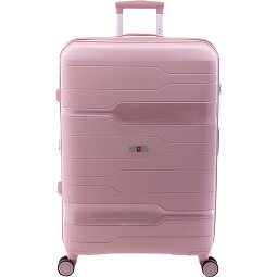 Gladiator 3800 4 ruote Carrello 77 cm con piega di espansione  Variante 7