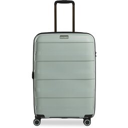 Stratic Paglia + carrello a 4 ruote 65 cm  Variante 4