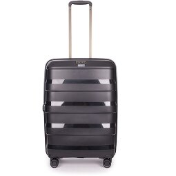 Stratic Paglia + carrello a 4 ruote 65 cm  Variante 2