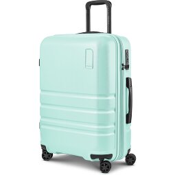 Redolz Pro ABS 4 ruote Carrello 65 cm espandibile  Variante 2