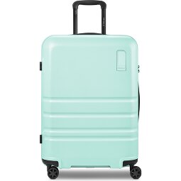 Redolz Pro ABS 4 ruote Carrello 65 cm espandibile  Variante 2