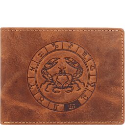 Greenburry Vintage Sternzeichen Portafoglio Pelle 12 cm  Variante 5