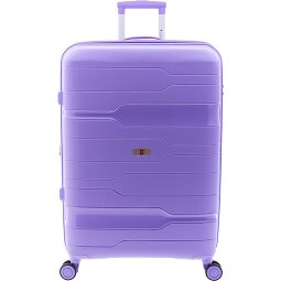 Gladiator 3800 4 ruote Carrello 77 cm con piega di espansione  Variante 8