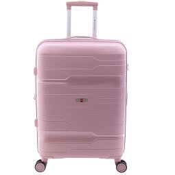Gladiator 3800 4 ruote Carrello 67 cm con piega di espansione  Variante 6