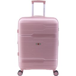 Gladiator 3800 4 ruote Carrello 67 cm con piega di espansione  Variante 7