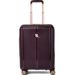 Polestream Paris 4 ruote Carrello della cabina 55 cm con piega di espansione  Variante 1