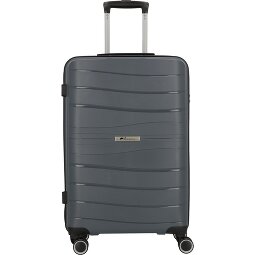 Cocoono Leon 4 ruote Carrello 66 cm  Variante 1