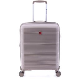 Gladiator 0800 4 ruote Carrello 55 cm con piega di espansione  Variante 1 Gladiator 0800 4 ruote Carrello 55 cm con piega di espansione  Variante 1