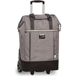 Punta Big Wheel Carrello della spesa 62 cm  Variante 5