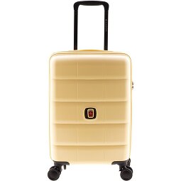 Gladiator 2700 4 ruote Carrello 55 cm  Variante 2