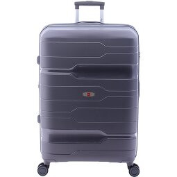 Gladiator 3800 4 ruote Carrello 77 cm con piega di espansione  Variante 8