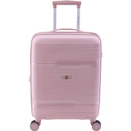 Gladiator 3800 4 ruote Carrello della cabina 55 cm con piega di espansione  Variante 7