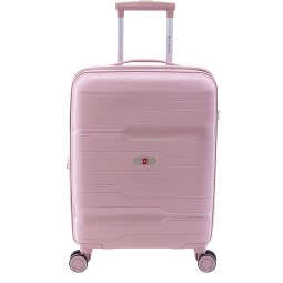 Gladiator 3800 4 ruote Carrello della cabina 55 cm con piega di espansione  Variante 9