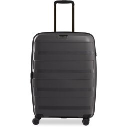 Stratic Paglia + carrello a 4 ruote 65 cm  Variante 3