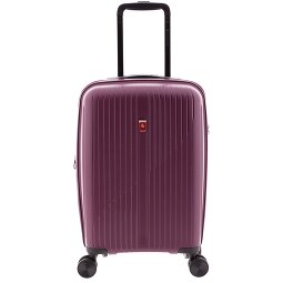 Gladiator 5000 4 ruote Carrello della cabina 55 cm con piega di espansione  Variante 2