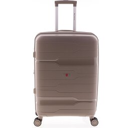 Gladiator 3800 4 ruote Carrello 67 cm con piega di espansione  Variante 1