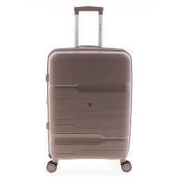 Gladiator 3800 4 ruote Carrello 67 cm con piega di espansione  Variante 1