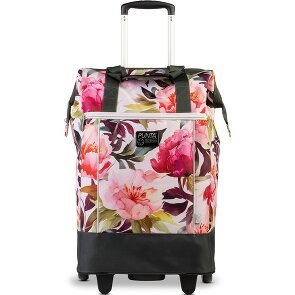 Punta Big Wheel Carrello della spesa 62 cm