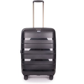 Stratic Paglia + carrello a 4 ruote 65 cm