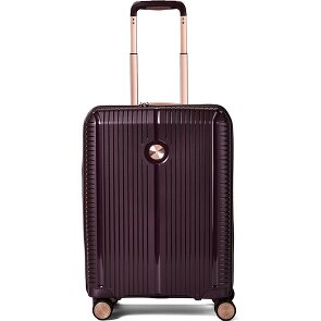 Polestream Paris 4 ruote Carrello della cabina 55 cm con piega di espansione