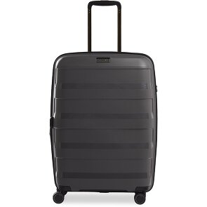 Stratic Paglia + carrello a 4 ruote 65 cm