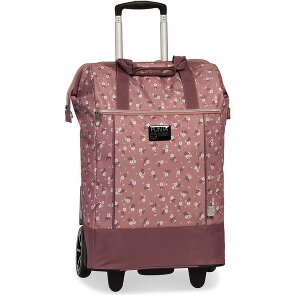Punta Big Wheel Carrello della spesa 62 cm
