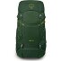 Ace 38 Zaino da trekking 64 cm Variante green canopy-matcha green Ace 38 Zaino da trekking 64 cm Variante green canopy-matcha green