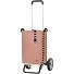 Alu Star Shopper Silja Carrello della spesa 65 cm Variante terra pink Alu Star Shopper Silja Carrello della spesa 65 cm Variante terra pink