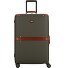  Story V T 4 ruote Carrello 70 cm Variante foresta