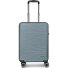  Dallas 3.0 4 ruote Carrello S 55 cm Variante grey