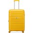  Starlight 3.0 4 ruote Carrello 66 cm espandibile Variante honey