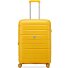 Starlight 3.0 4 ruote Carrello 66 cm con piega di espansione Variante honey Starlight 3.0 4 ruote Carrello 66 cm con piega di espansione Variante honey