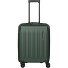  Dynamiic 4 ruote Carrello della cabina 55 cm con piega di espansione Variante grün