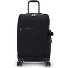  Basic Darcey Up S 4 ruote Carrello della cabina 55 cm Variante black noir
