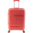  3800 4 ruote Carrello 67 cm con piega di espansione Variante coral