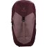 AC Lite 22 SL Zaino da trekking 30 cm Variante ashrose-cassis