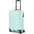 Pro ABS 4 ruote Trolley cabina 53 cm Variante mint
