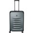  Spectra 3.0 4 ruote Carrello 69 cm espandibile Variante storm