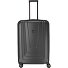  Carrello X-Ray a 4 ruote 77 cm Variante anthrazit