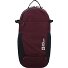  Velocity 20 Zaino da trekking 45 cm Variante amaranth
