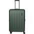  Dynamiic 4 ruote Carrello L 76 cm con piega di espansione Variante grün