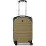 Amplar Evo 4 ruote Carrello della cabina S 53 cm con piega di espansione Variante olive Amplar Evo 4 ruote Carrello della cabina S 53 cm con piega di espansione Variante olive