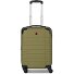  Amplar Evo 4 ruote Carrello della cabina S 53 cm con piega di espansione Variante olive