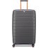  B-Flying Move 4 ruote Carrello 78 cm espandibile Variante graphite