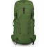 Talon 33 L-XL Zaino 70 cm Variante green belt-black Talon 33 L-XL Zaino 70 cm Variante green belt-black