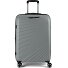  5808 4 ruote Carrello 65 cm con piega di espansione Variante grau